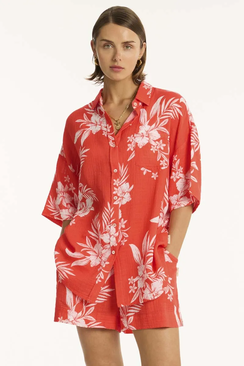 Aloha Shirt